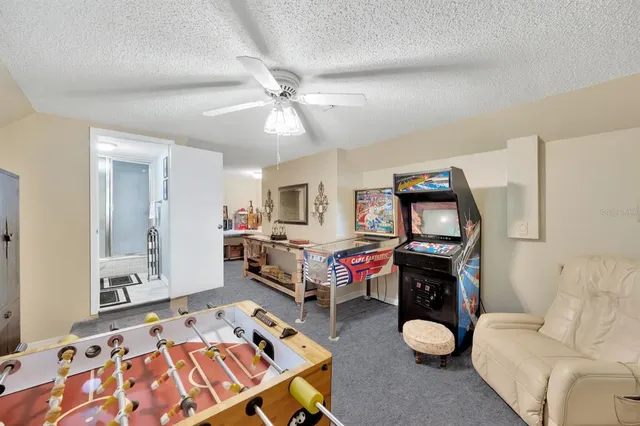 a view of a yard with plants and large trees