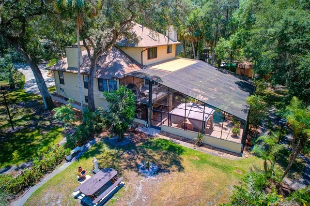 an aerial view of a house with a yard potted plants and large tree