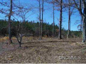 2442 Jack McKinney Road Rutherfordton, NC 28139 - Photo 7 of 7