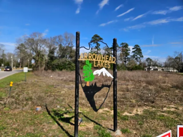 a view of a yard with palm tree