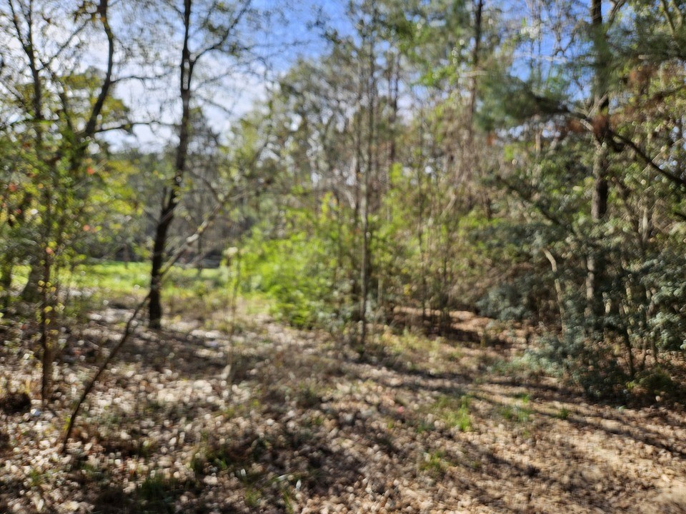 0 Coaltown Road Willis, TX 77378 - Photo 13 of 27 inside the lot