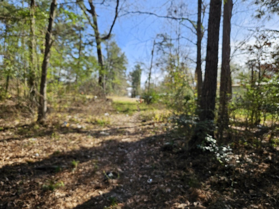 0 Coaltown Road Willis, TX 77378 - Photo 14 of 27 inside the lot