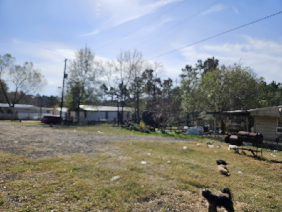 0 Coaltown Road Willis, TX 77378 - Photo 16 of 27 a backyard of a house with lots of green space