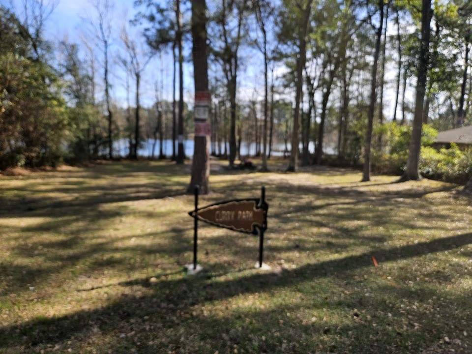 0 Coaltown Road Willis, TX 77378 - Photo 17 of 27 a view of a yard in a yard with trees