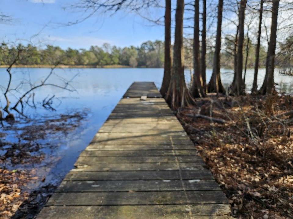 0 Coaltown Road Willis, TX 77378 - Photo 18 of 27 park area