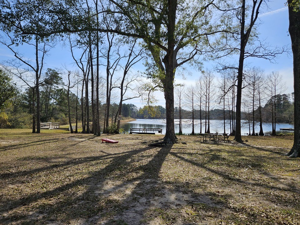 0 Coaltown Road Willis, TX 77378 - Photo 22 of 27 a view of yard with trees
