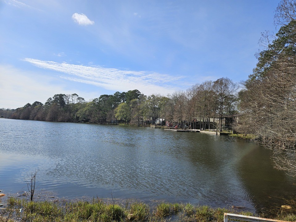 0 Coaltown Road Willis, TX 77378 - Photo 23 of 27 nice lake view