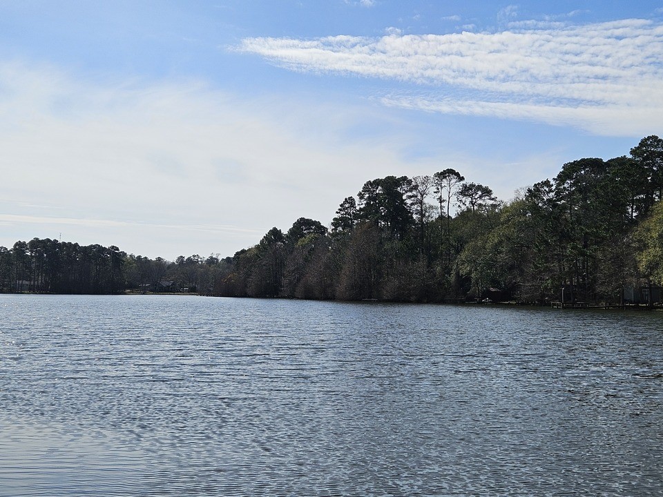 0 Coaltown Road Willis, TX 77378 - Photo 25 of 27 nice lake view