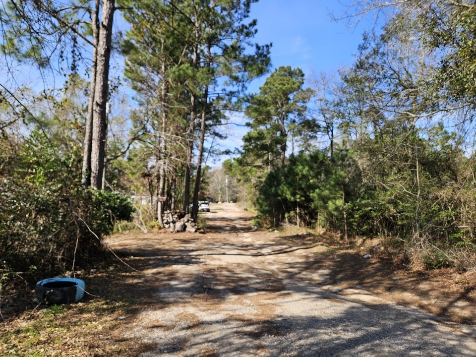 0 Coaltown Road Willis, TX 77378 - Photo 8 of 27 a view of outdoor space with trees
