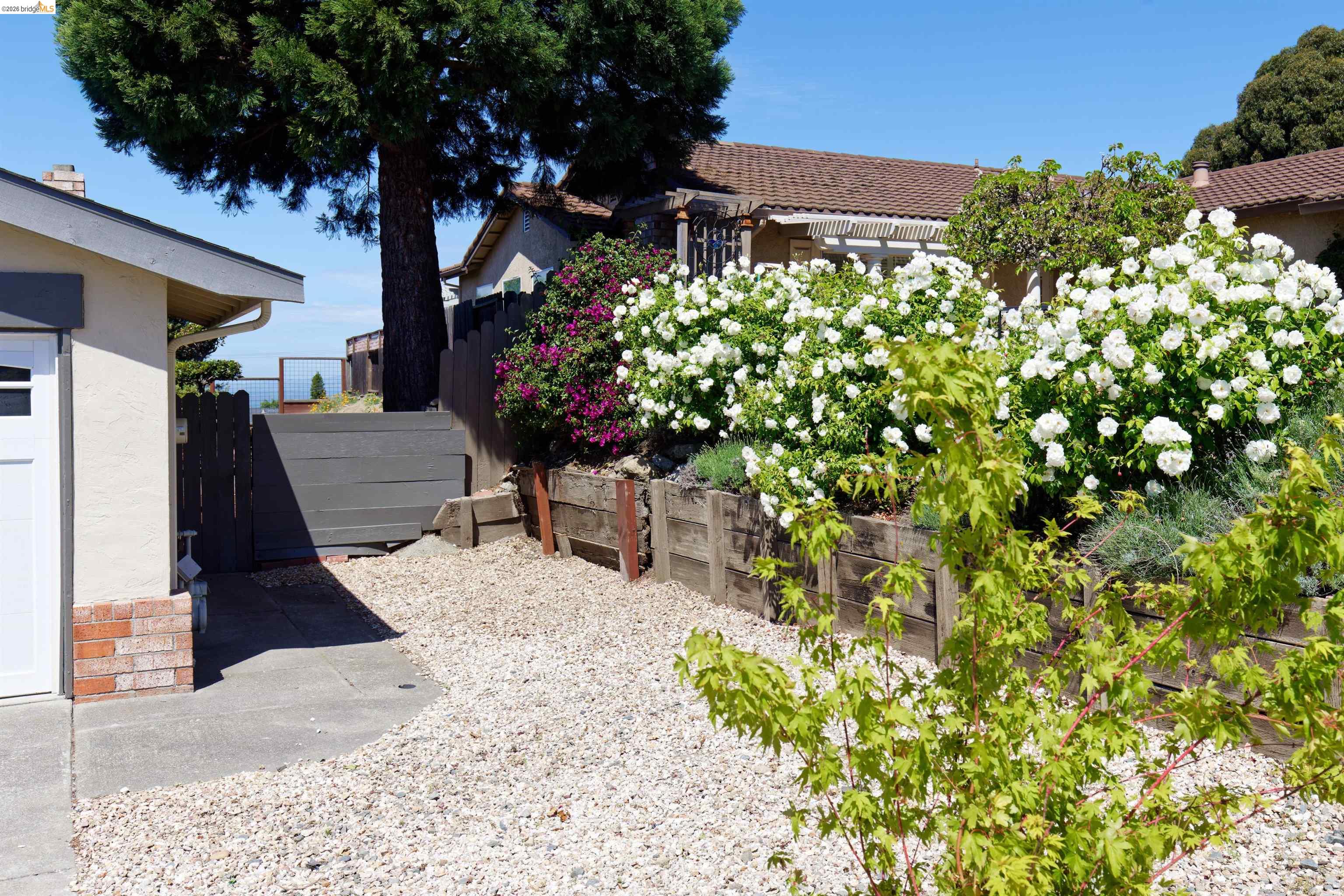 983 Seascape Circle Rodeo, CA 94572 - Photo 4 of 45 View of yard