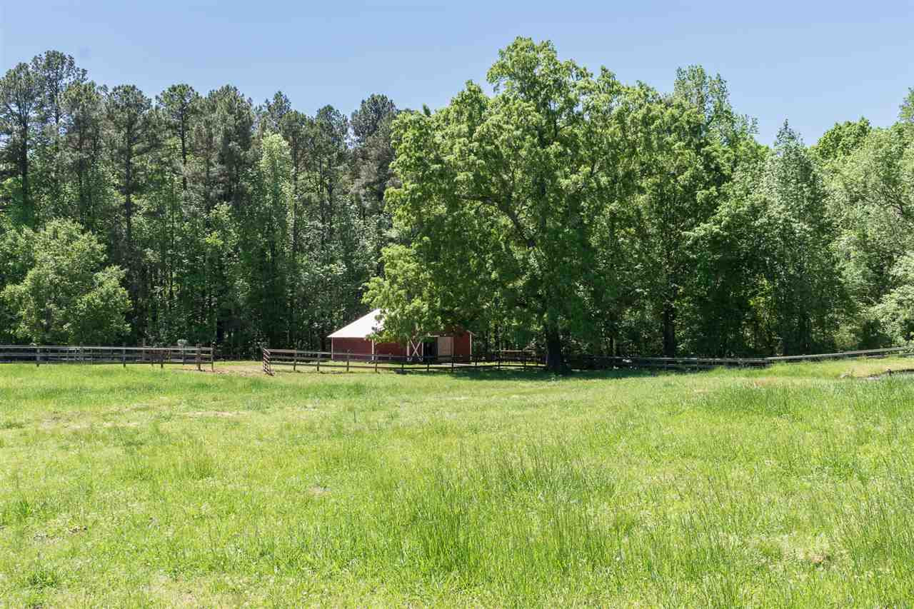 1702 Baptist Road Durham, NC 27703 - Photo 8 of 28 Photo 8