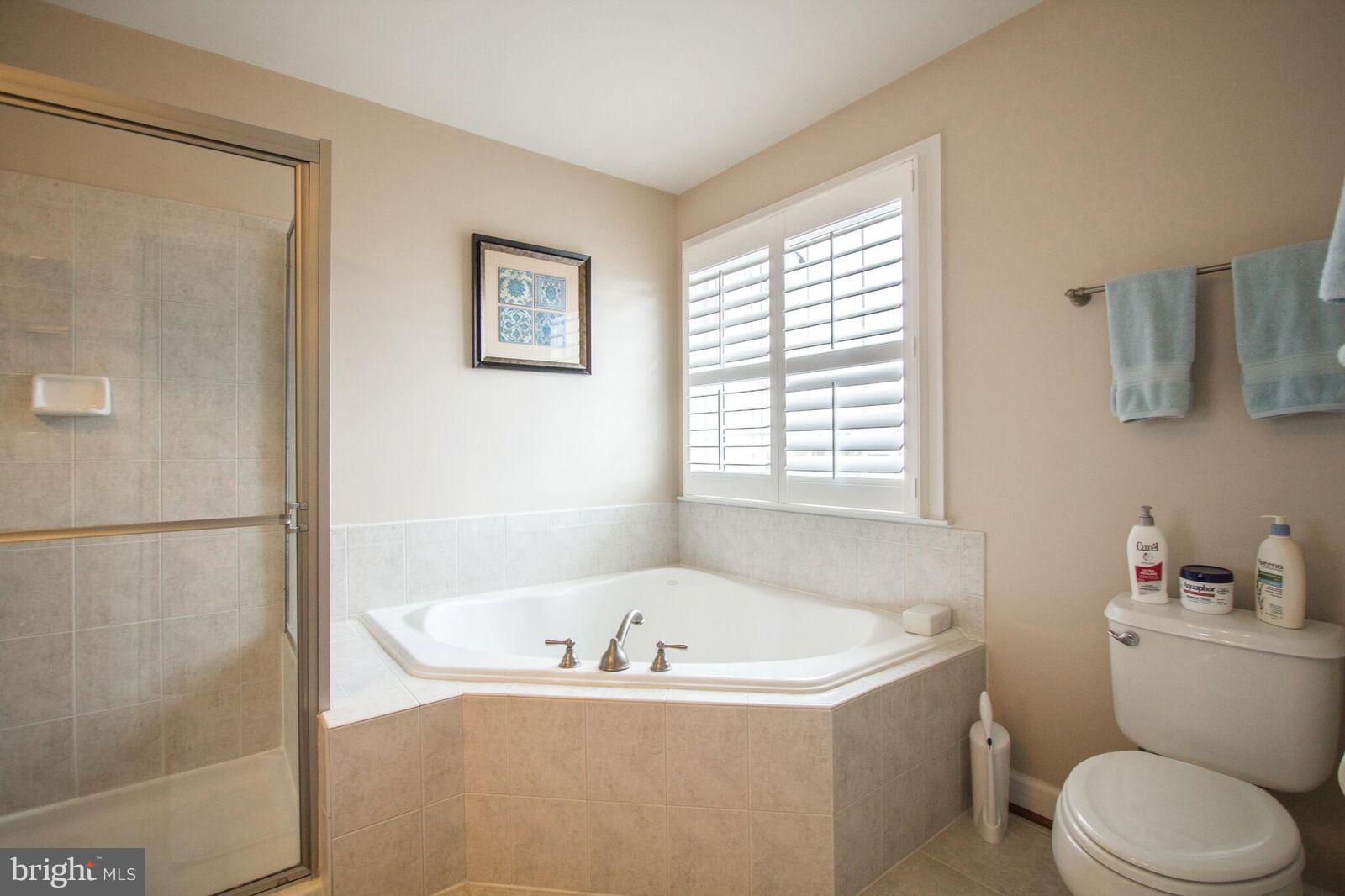 9102 Furey Road Lorton, VA 22079 - Photo 17 of 30 Bath (Master)