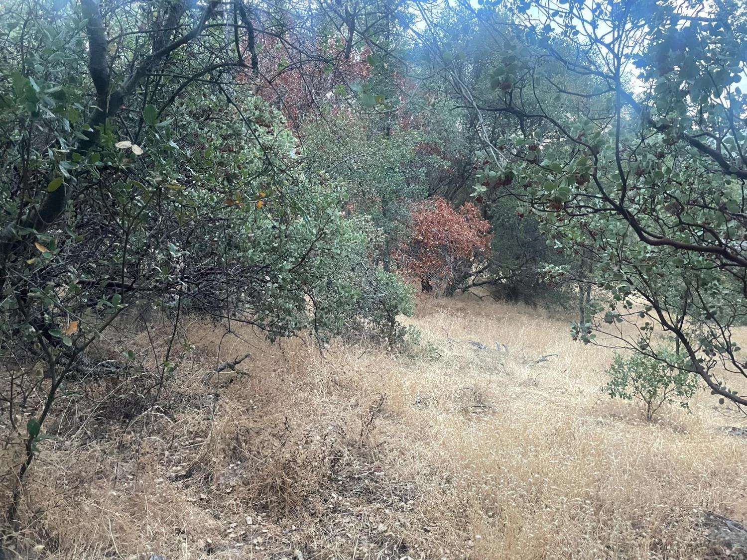 40 Apache Rnch Road Ahwahnee, CA 93601 - Photo 2 of 17 Gallery Image 2