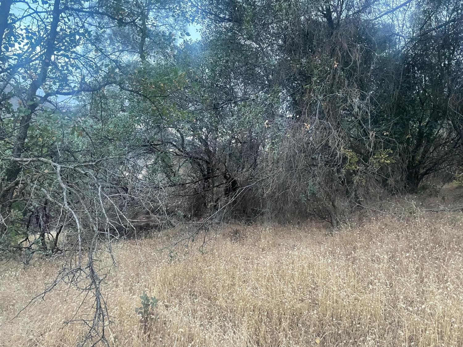 40 Apache Rnch Road Ahwahnee, CA 93601 - Photo 3 of 17 Gallery Image 3