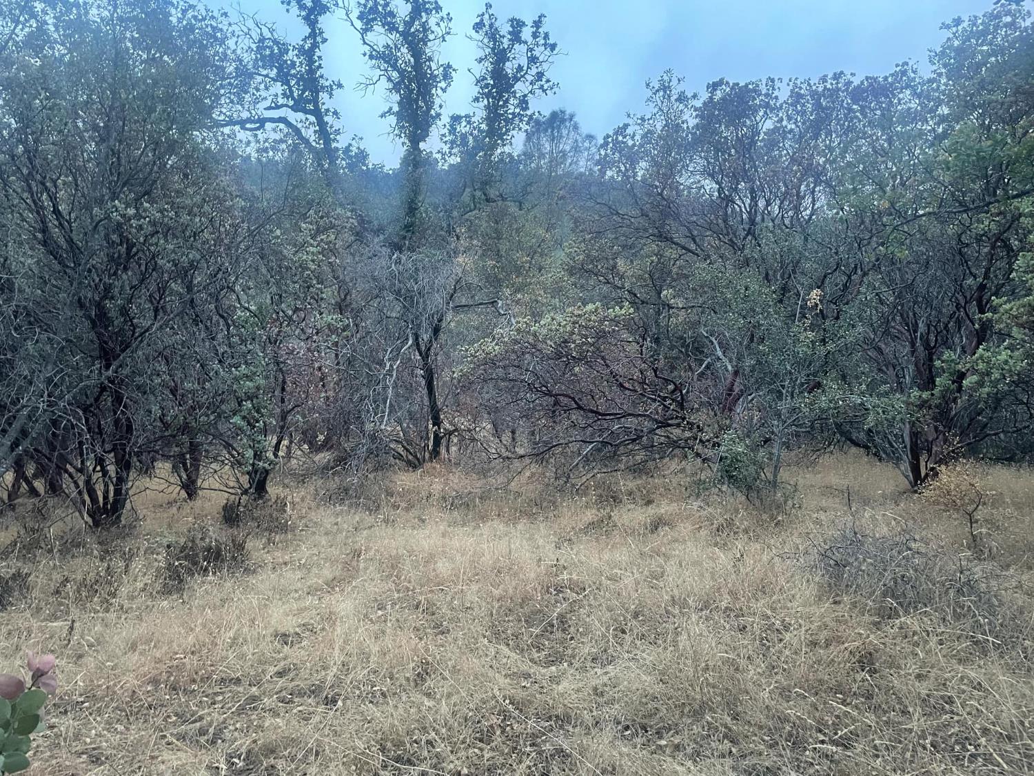 40 Apache Rnch Road Ahwahnee, CA 93601 - Photo 4 of 17 Gallery Image 4