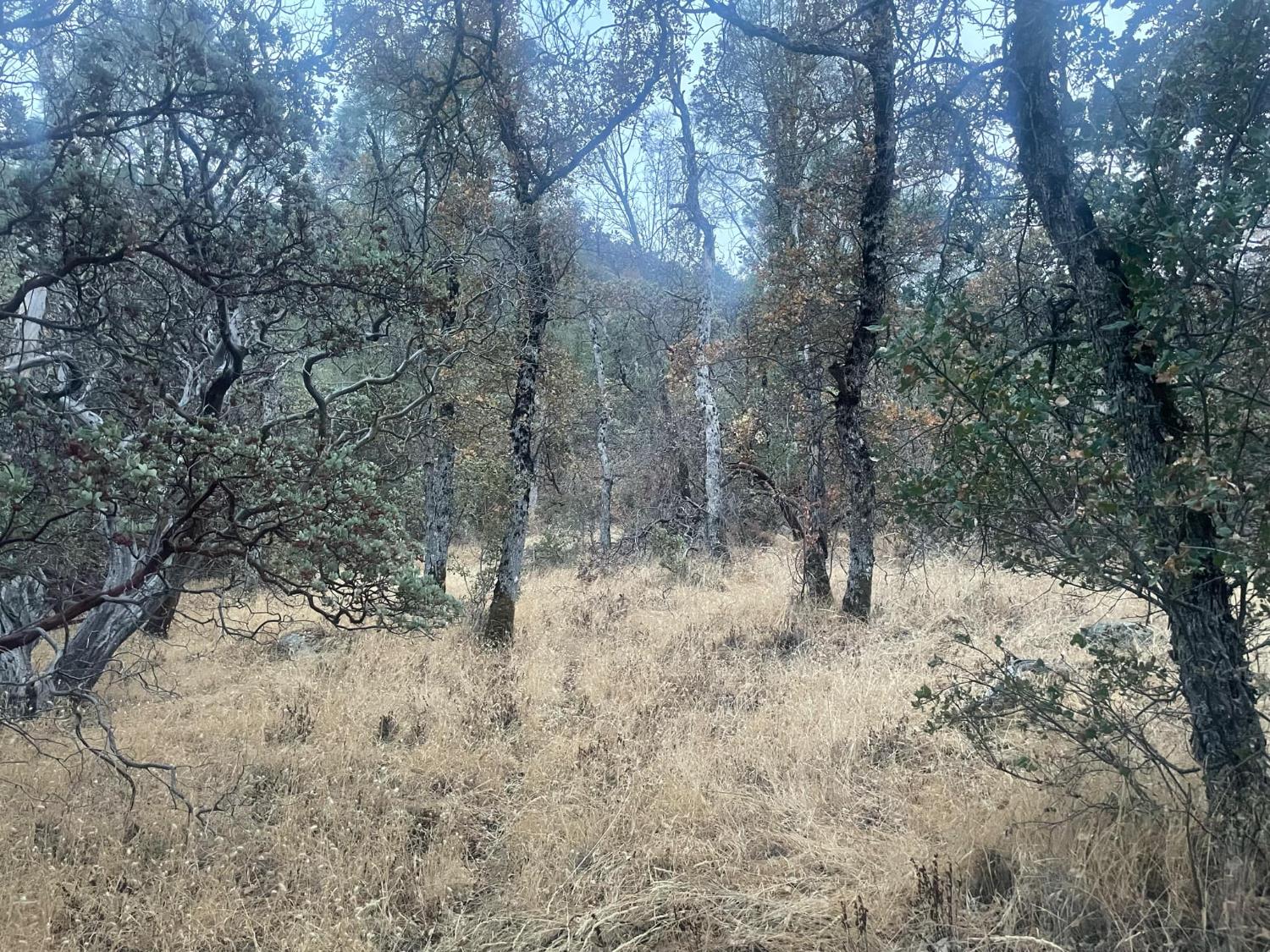 40 Apache Rnch Road Ahwahnee, CA 93601 - Photo 6 of 17 Gallery Image 6