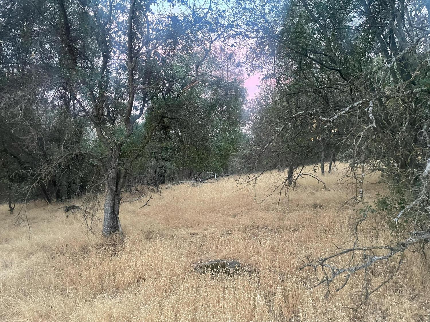 40 Apache Rnch Road Ahwahnee, CA 93601 - Photo 8 of 17 Gallery Image 8