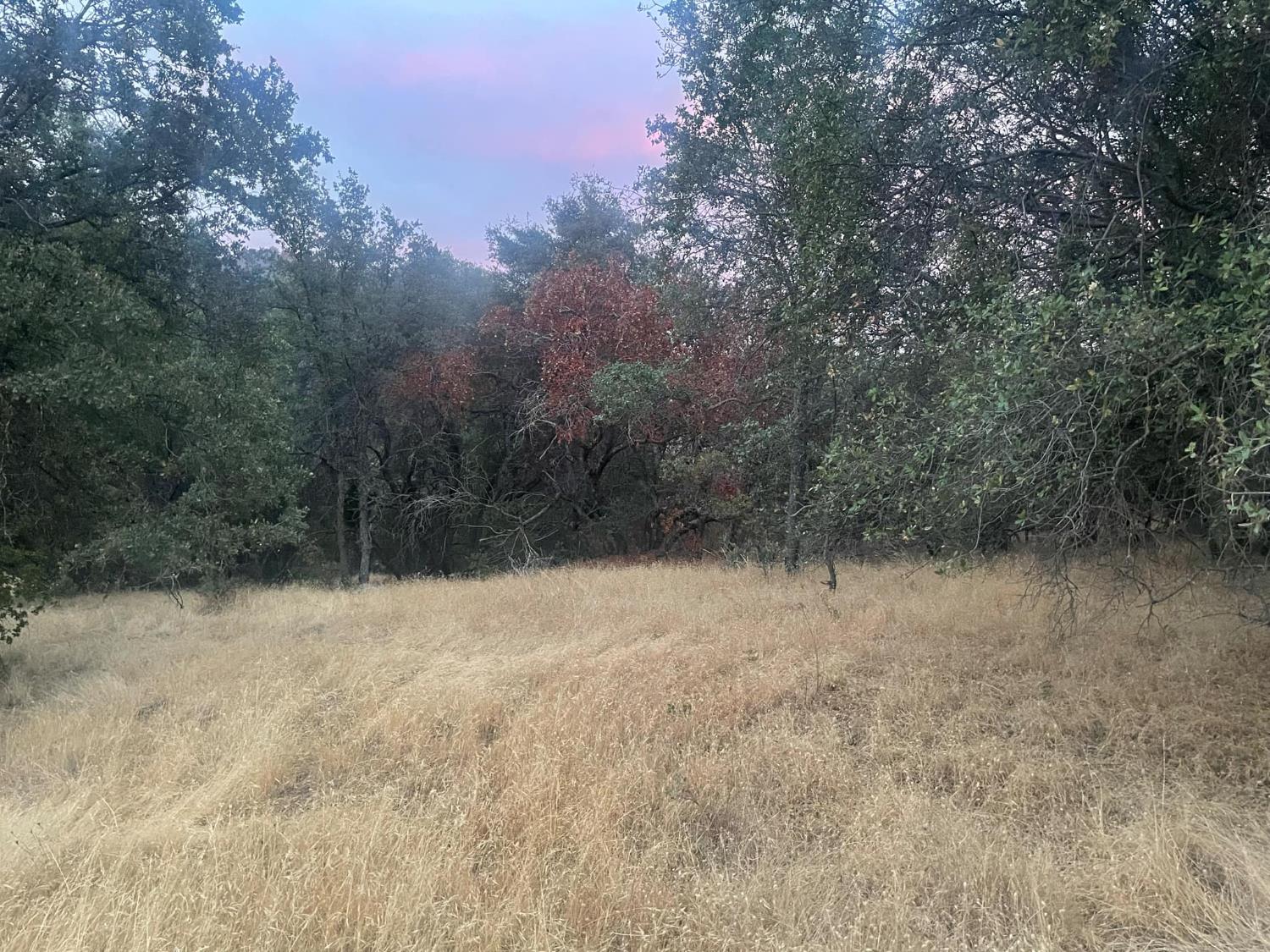 40 Apache Rnch Road Ahwahnee, CA 93601 - Photo 9 of 17 Gallery Image 9