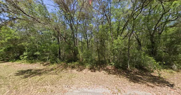 a view of a yard with plants and trees