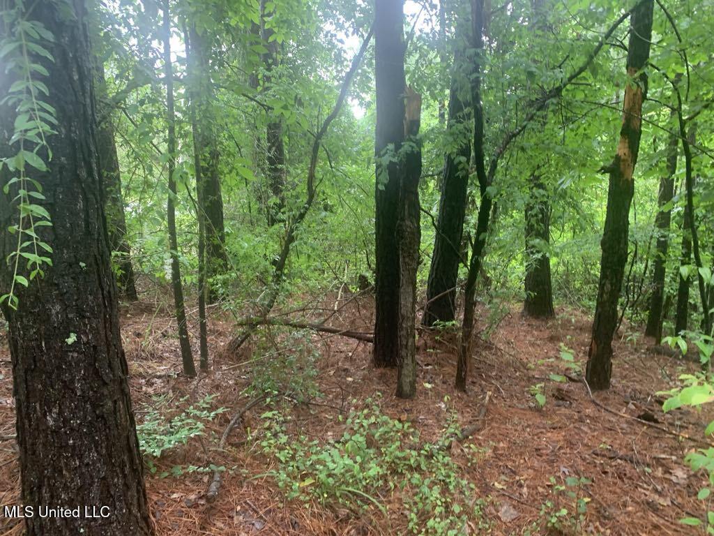 1063 Dry Creek Road Magee, MS 39111 - Photo 4 of 15 6eeb8d4b-44d3-4c9c-a32e-9c7353bca758