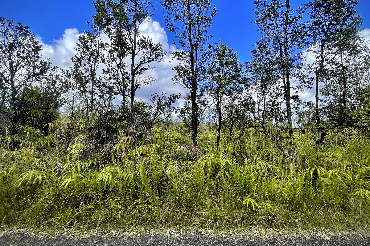36 Painui Street Mountain View, HI 96771 - Photo 11 of 12