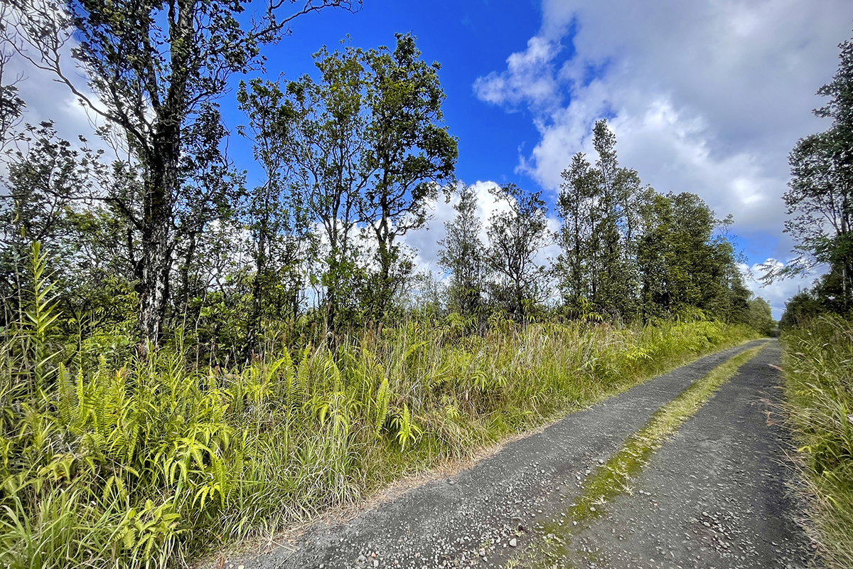 36 Painui Street Mountain View, HI 96771 - Photo 12 of 12