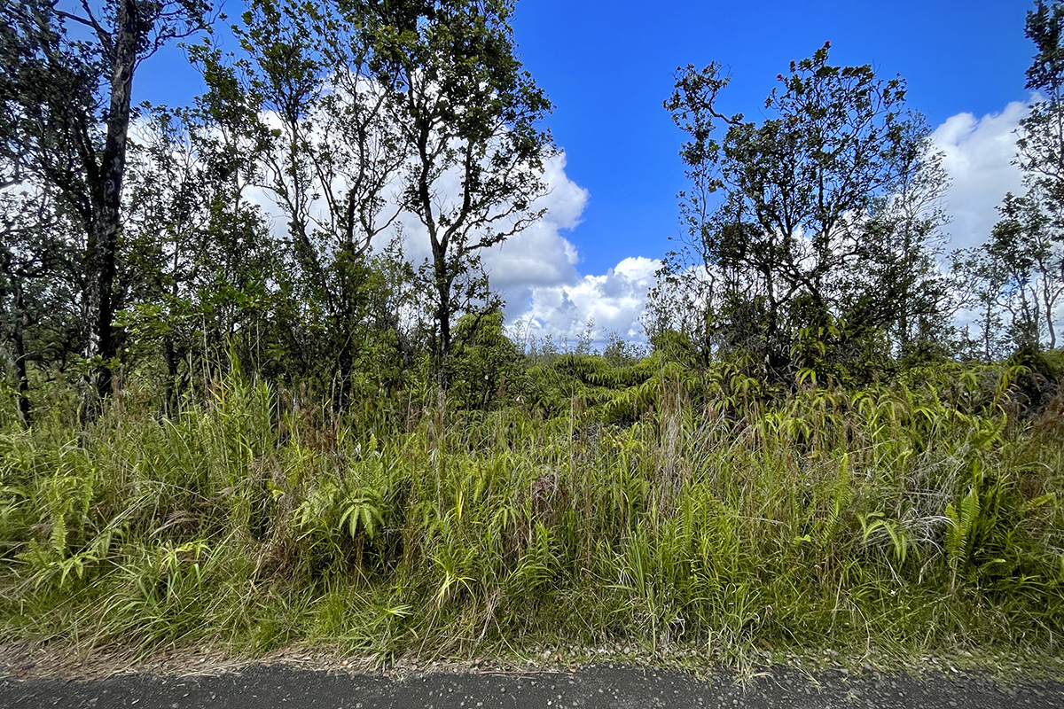 36 Painui Street Mountain View, HI 96771 - Photo 2 of 12