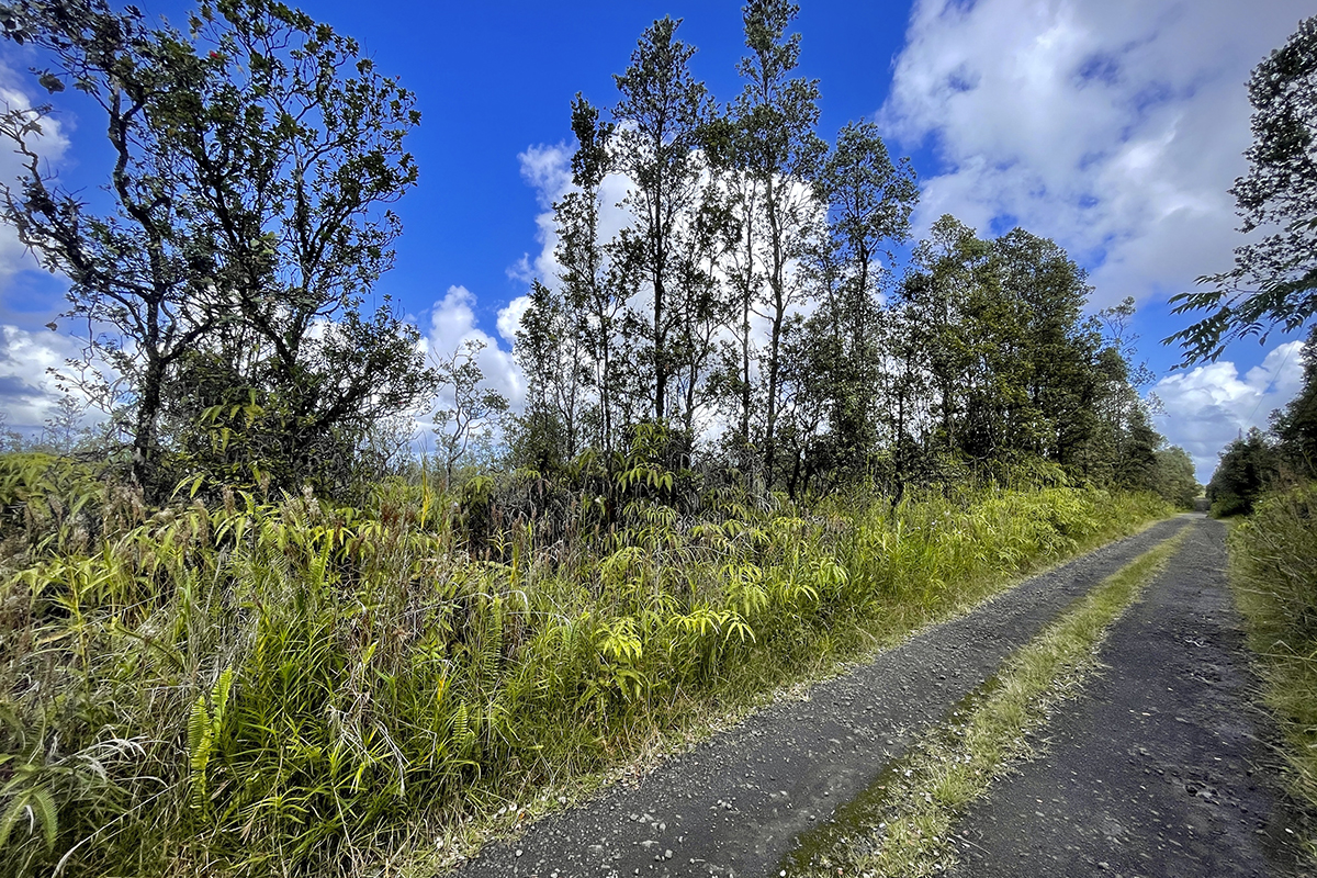 36 Painui Street Mountain View, HI 96771 - Photo 4 of 12
