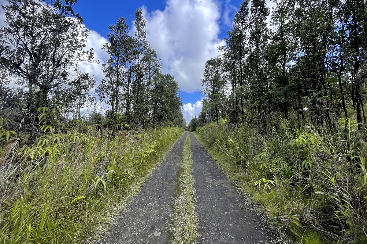36 Painui Street Mountain View, HI 96771 - Photo 5 of 12