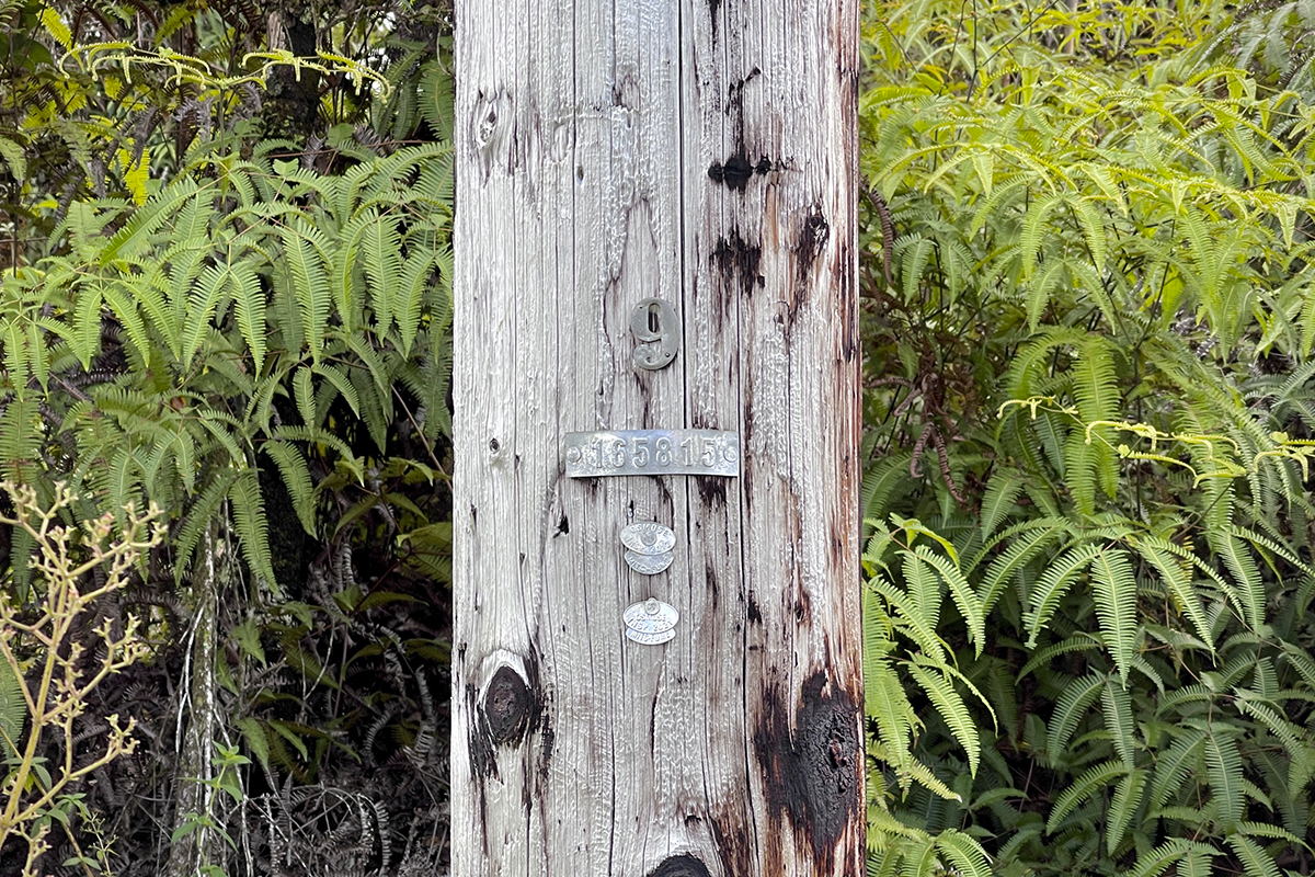 36 Painui Street Mountain View, HI 96771 - Photo 6 of 12