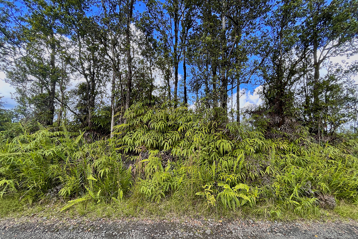 36 Painui Street Mountain View, HI 96771 - Photo 7 of 12