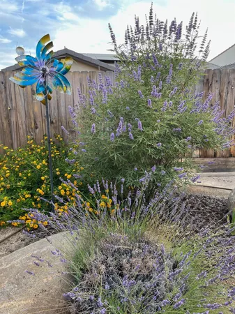$465,000 | 979 Spg Street West, Madera, CA 93636