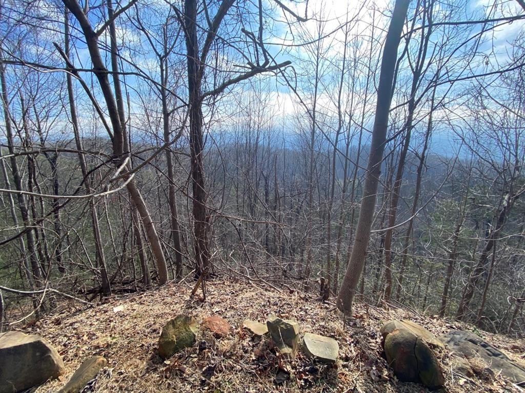 0 Old Field Ridge Way Gatlinburg, TN 37738 - Photo 13 of 14 Gallery Image 13