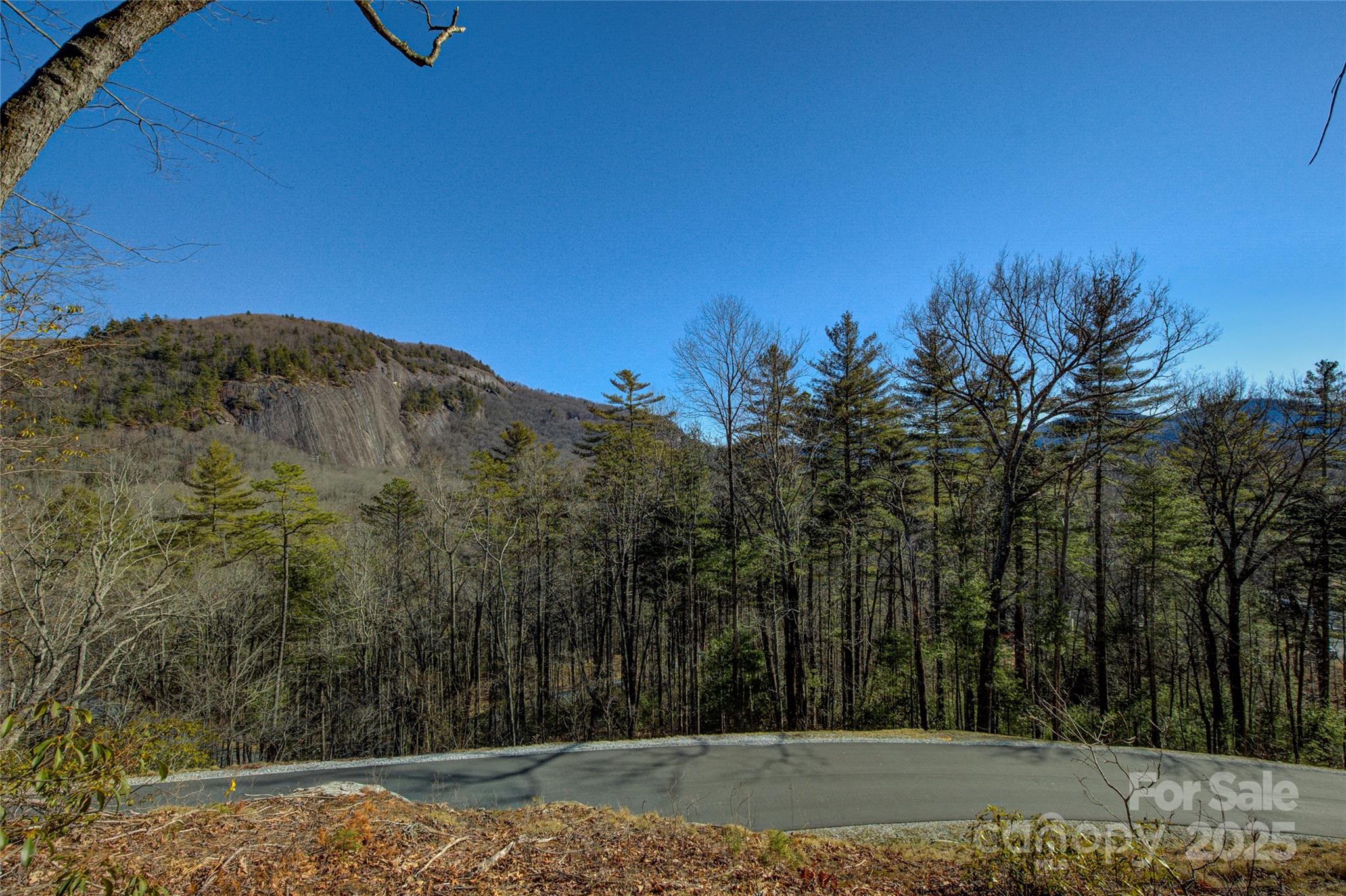 135 Lonesome Valley Road Sapphire, NC 28774 - Photo 11 of 46 a view of a backyard