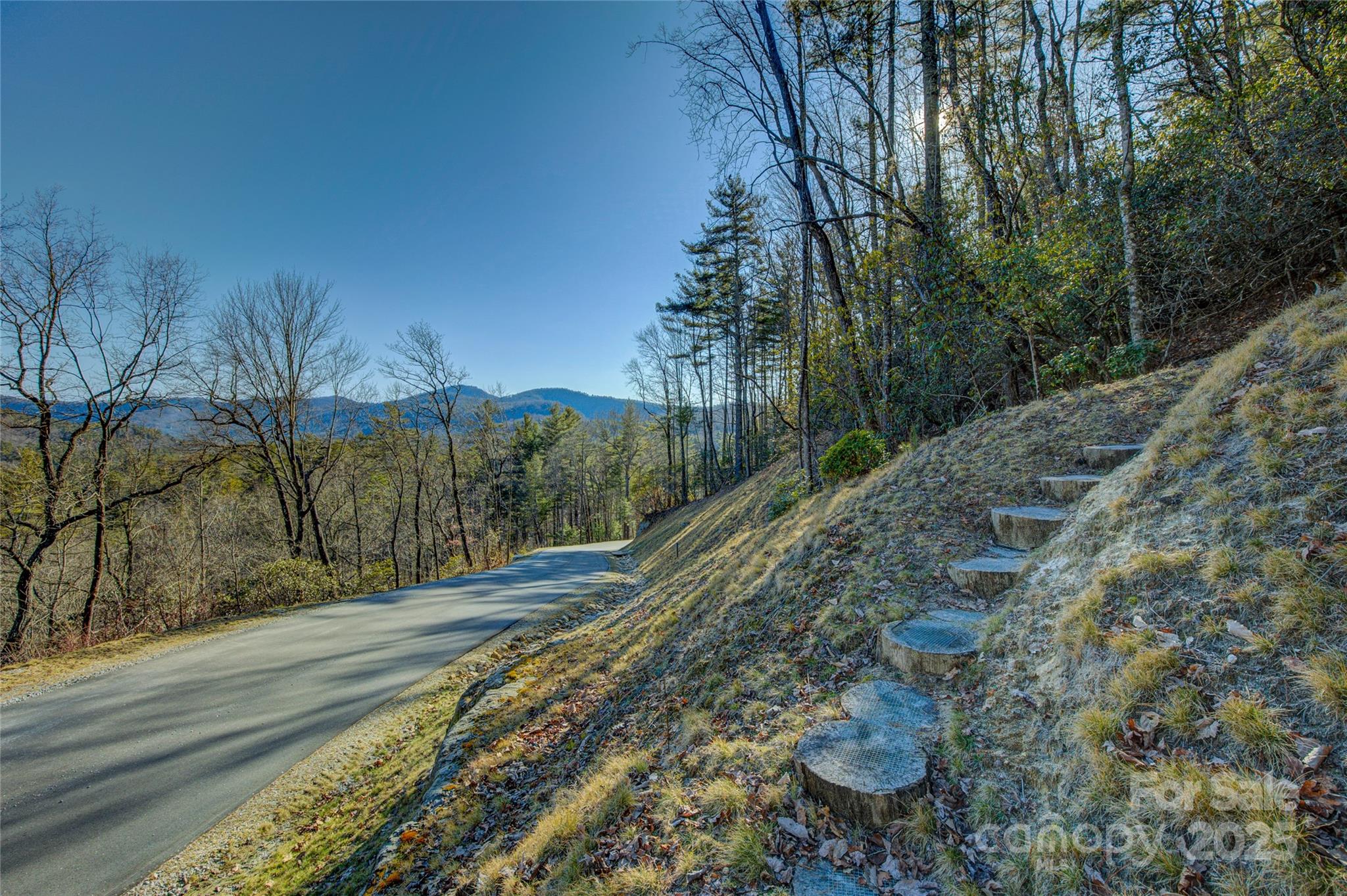 135 Lonesome Valley Road Sapphire, NC 28774 - Photo 14 of 46 a view of a yard