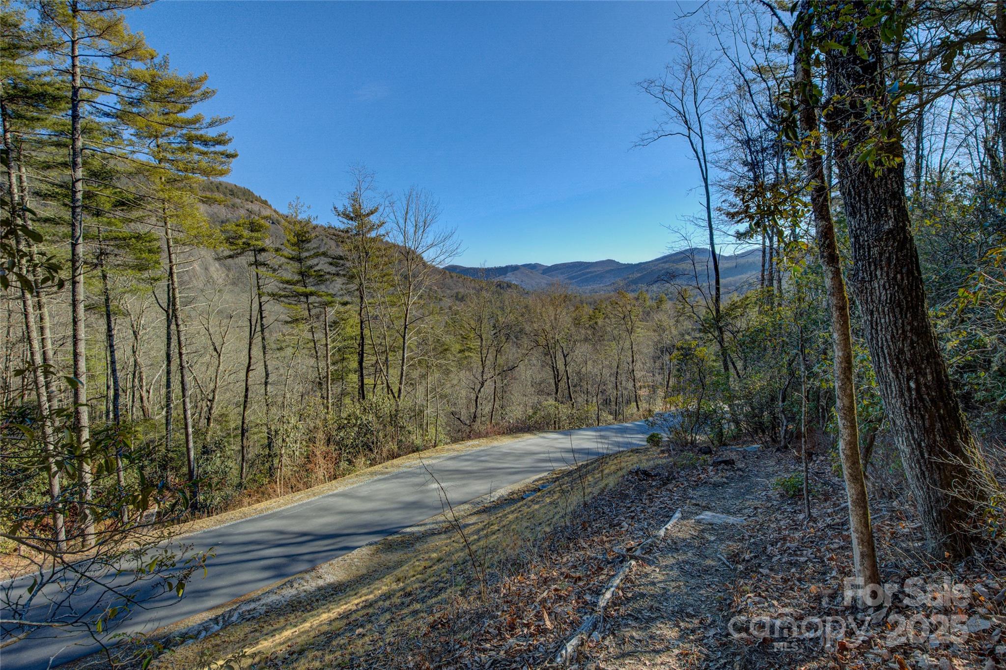 135 Lonesome Valley Road Sapphire, NC 28774 - Photo 15 of 46 a view of a backyard with large trees