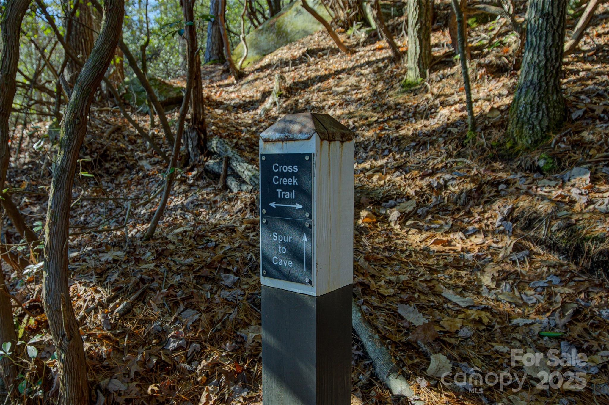 135 Lonesome Valley Road Sapphire, NC 28774 - Photo 16 of 46 view of a house with a tree