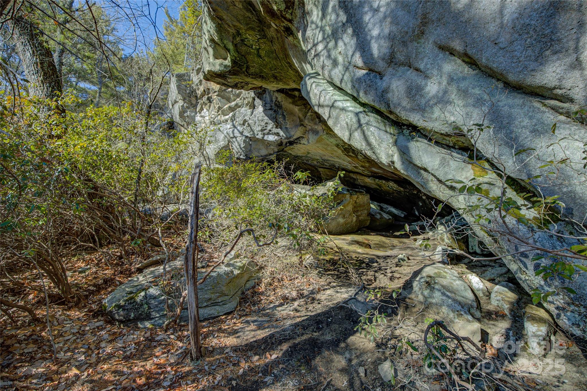 135 Lonesome Valley Road Sapphire, NC 28774 - Photo 18 of 46 a view of a yard with plants and wooden fence