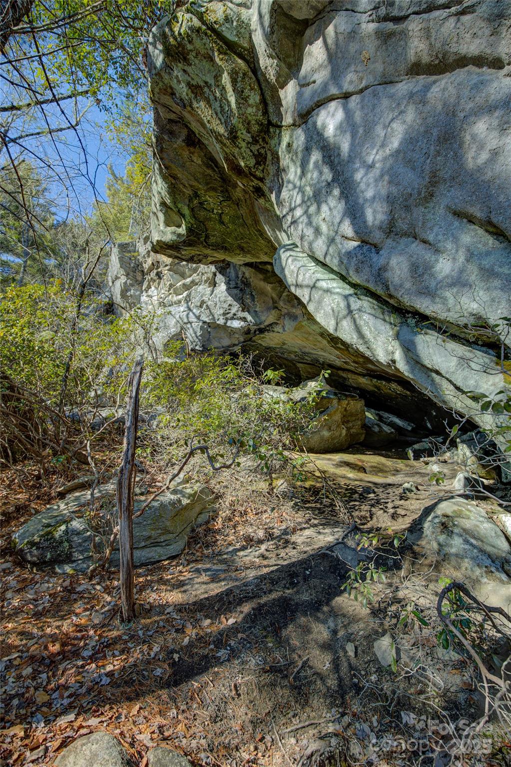 135 Lonesome Valley Road Sapphire, NC 28774 - Photo 19 of 46 a backyard of a house
