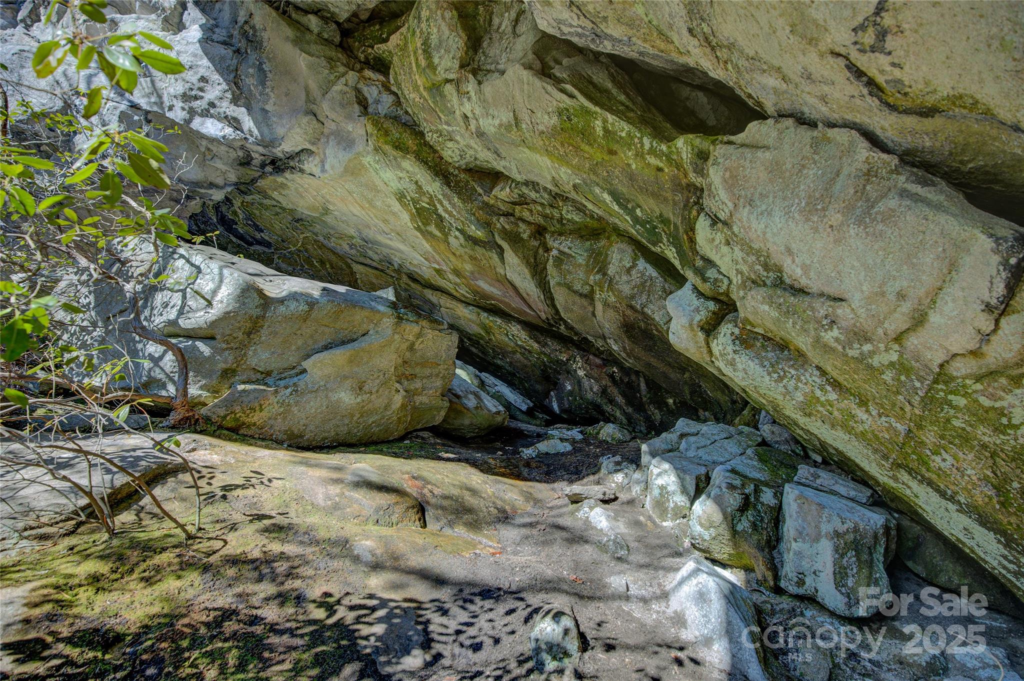 135 Lonesome Valley Road Sapphire, NC 28774 - Photo 20 of 46 a view of a yard with plants and wooden fence