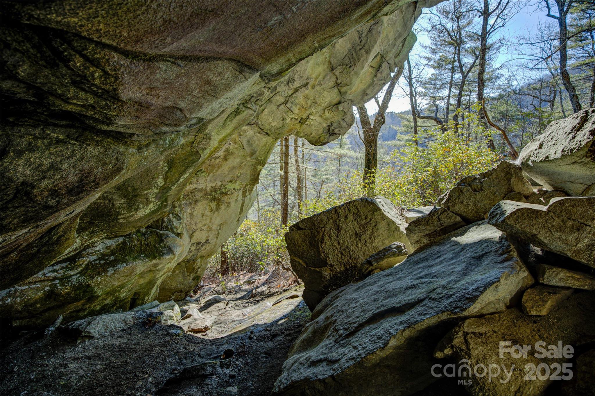 135 Lonesome Valley Road Sapphire, NC 28774 - Photo 21 of 46 a view of backyard with wooden fence
