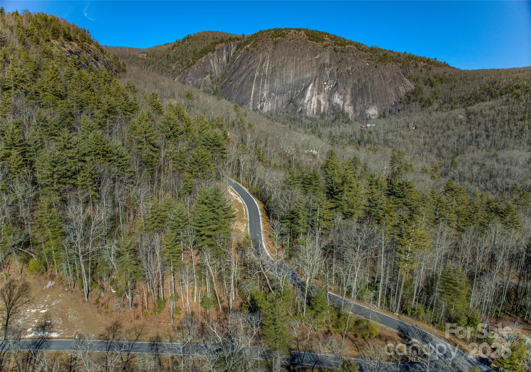 135 Lonesome Valley Road Sapphire, NC 28774 - Photo 24 of 46 a view of a yard with a tree