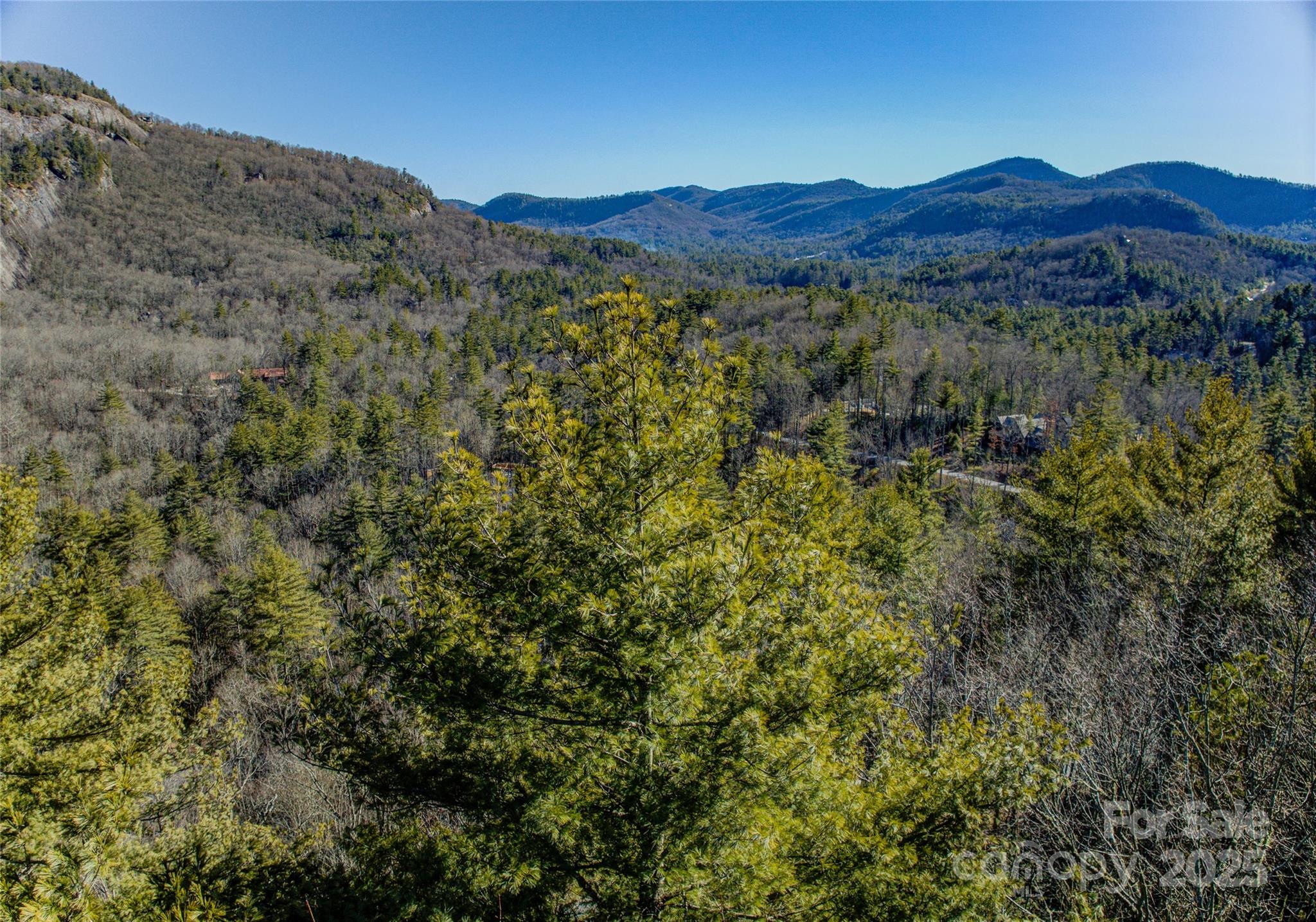 135 Lonesome Valley Road Sapphire, NC 28774 - Photo 25 of 46 a view of a forest with mountains in the background
