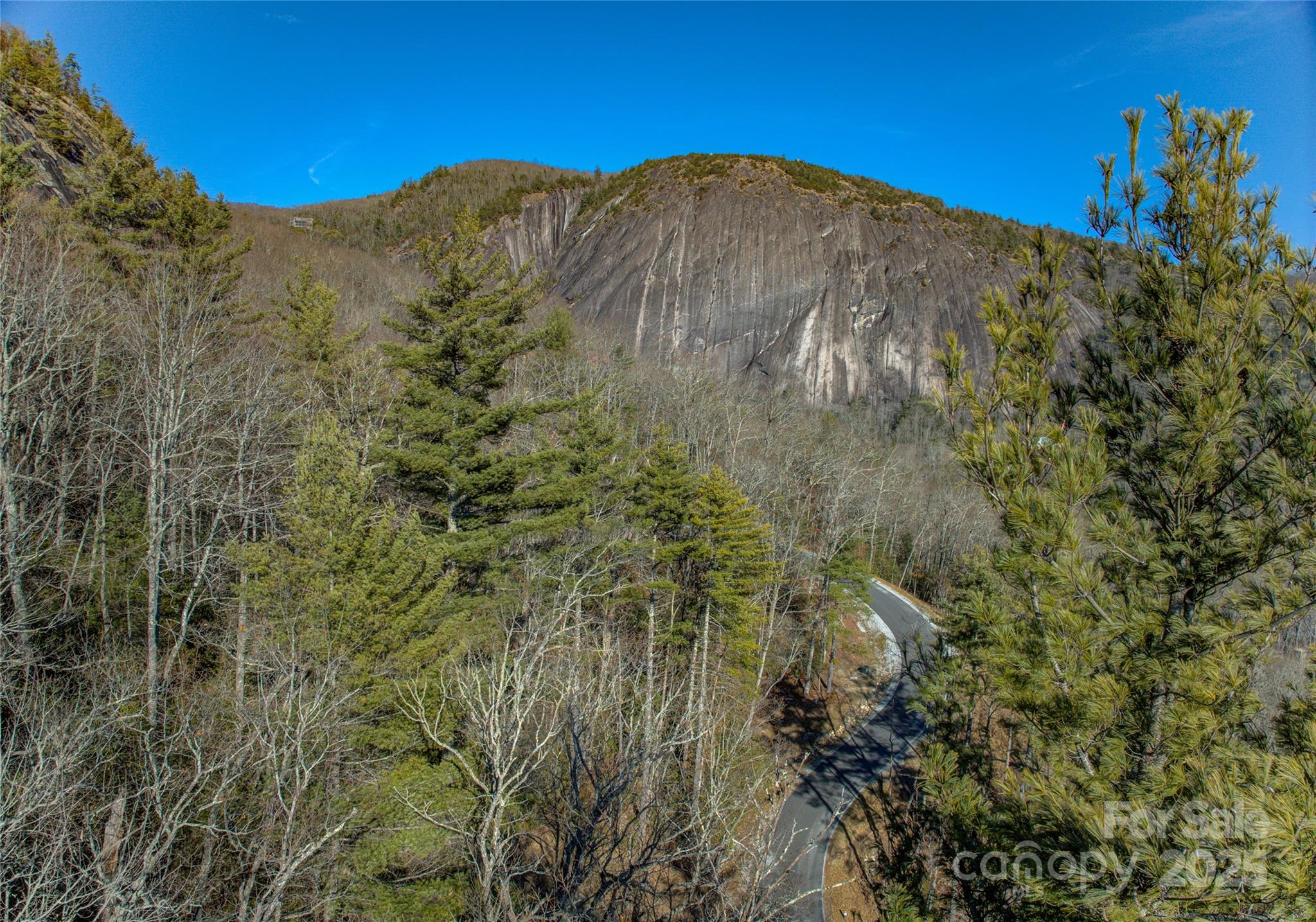 135 Lonesome Valley Road Sapphire, NC 28774 - Photo 27 of 46 a view of a large mountain with trees in the background