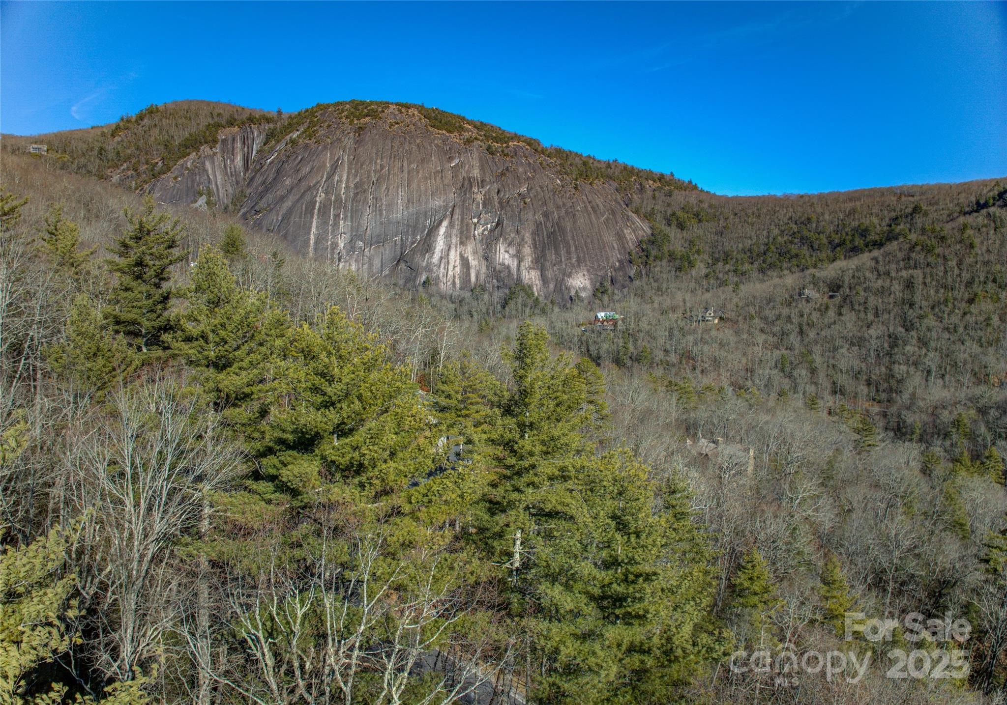 135 Lonesome Valley Road Sapphire, NC 28774 - Photo 28 of 46 a view of a dry yard with mountains in the background