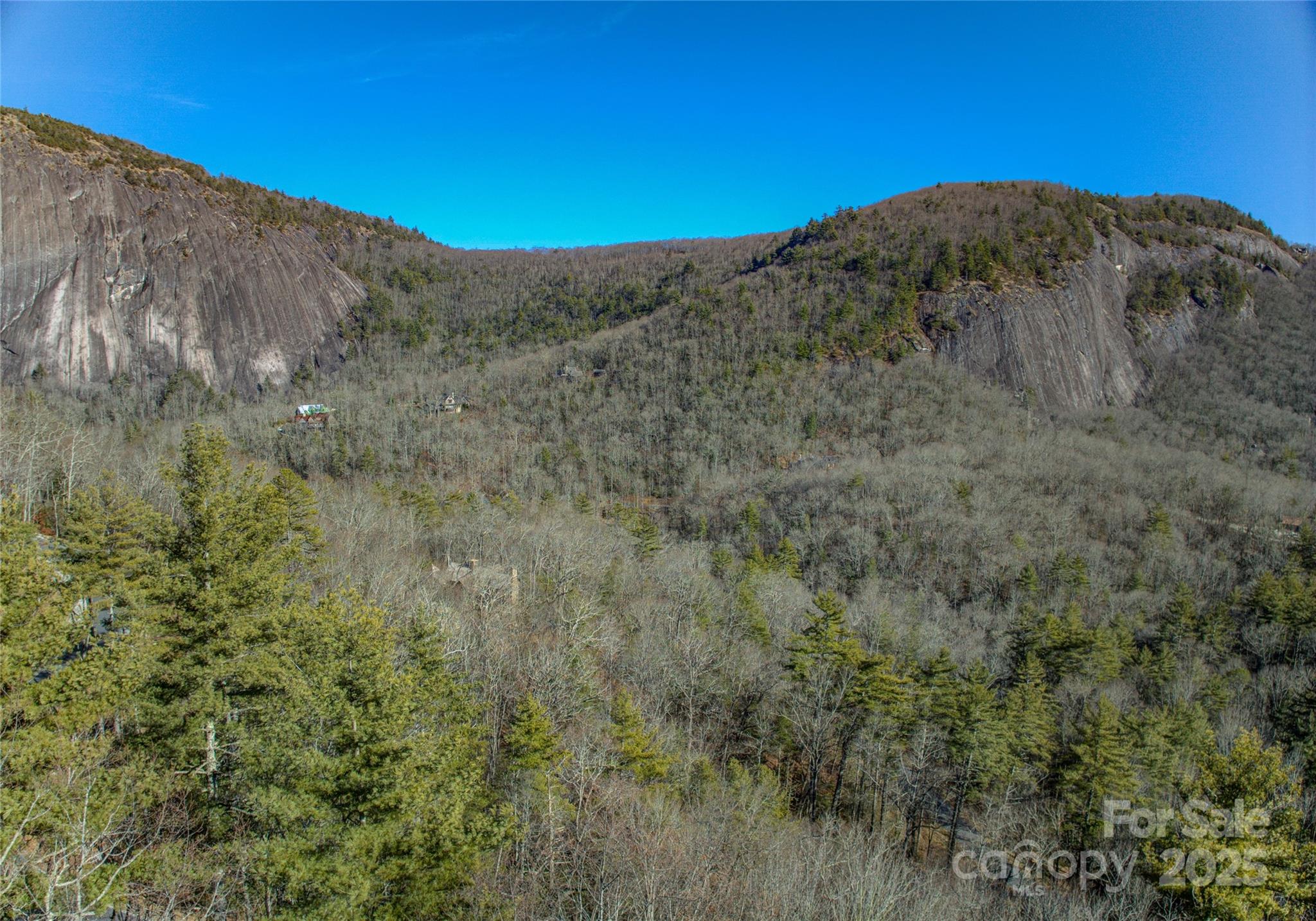 135 Lonesome Valley Road Sapphire, NC 28774 - Photo 29 of 46 a view of a dry yard with mountains in the background