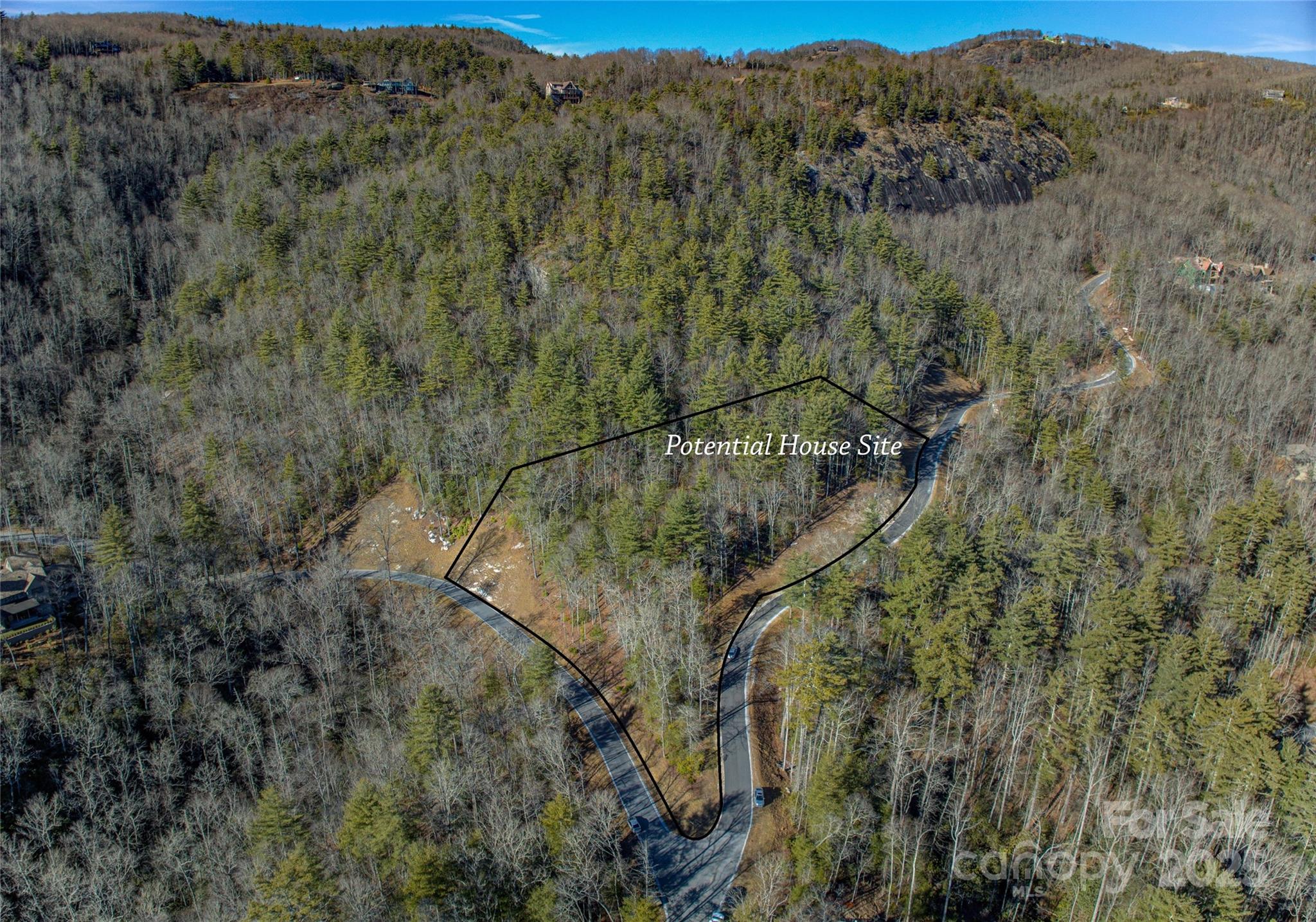 135 Lonesome Valley Road Sapphire, NC 28774 - Photo 32 of 46 a view of a forest with mountain view