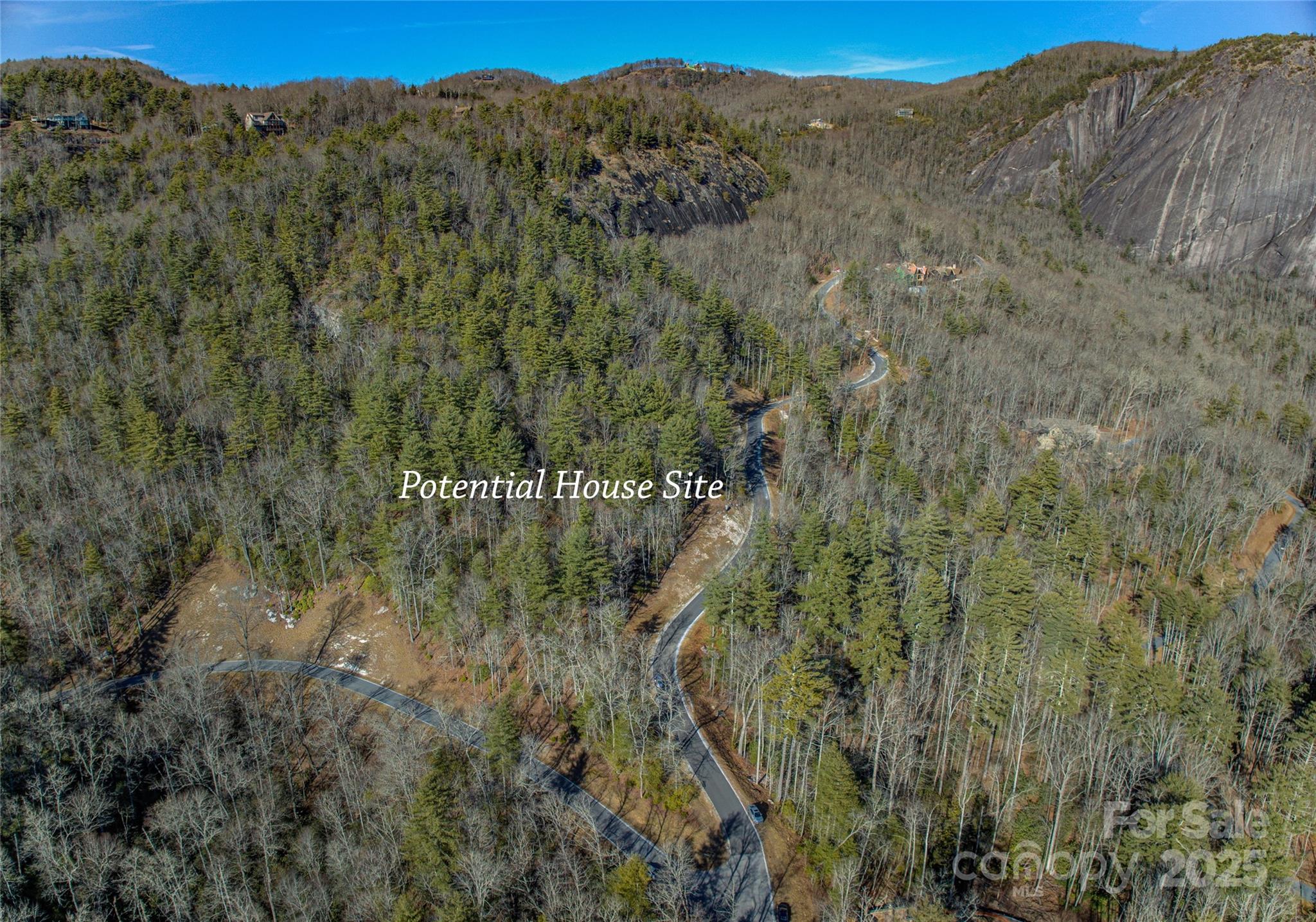135 Lonesome Valley Road Sapphire, NC 28774 - Photo 34 of 46 a view of a forest with a mountain in the background