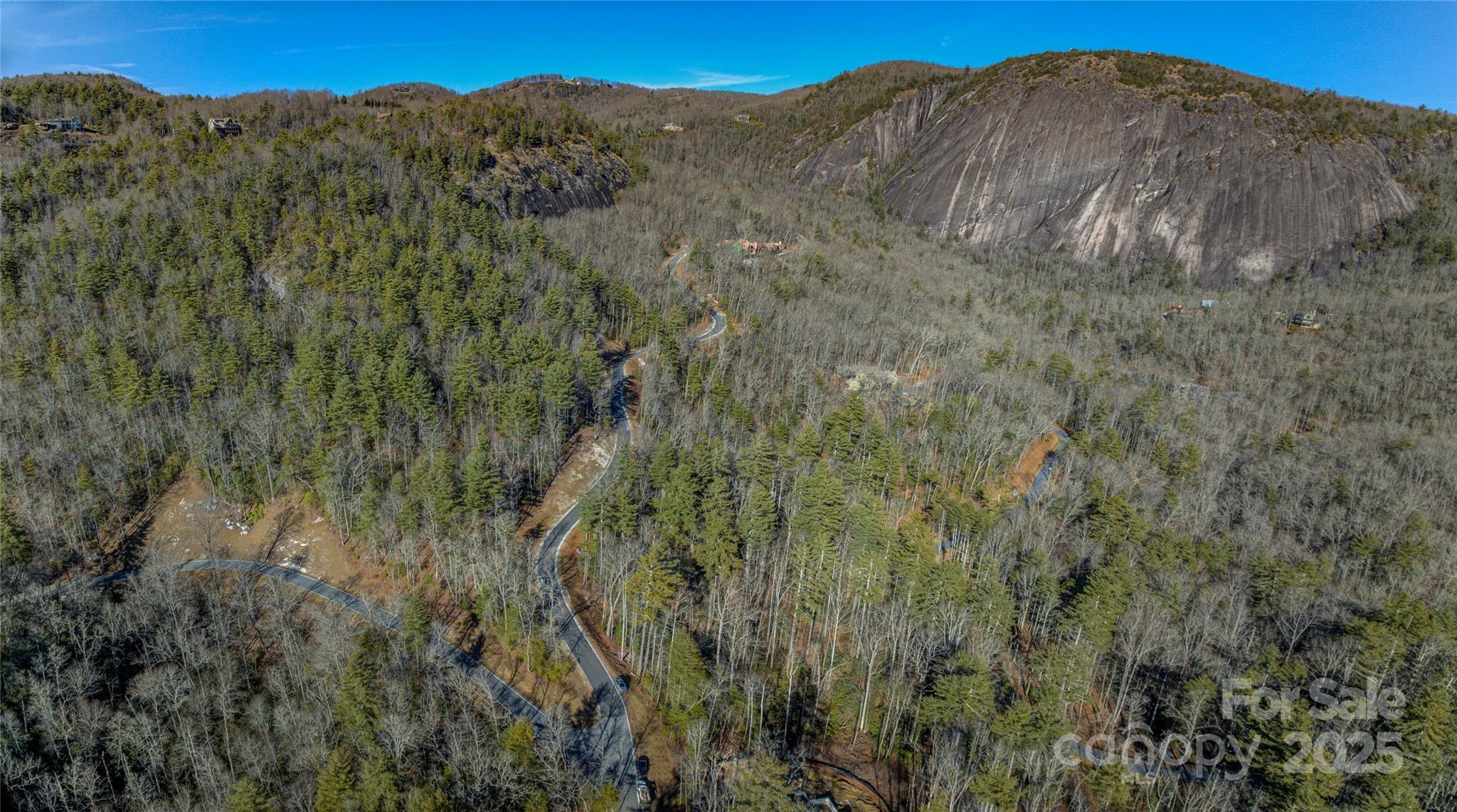 135 Lonesome Valley Road Sapphire, NC 28774 - Photo 35 of 46 a view of a large mountain with a mountain in the background