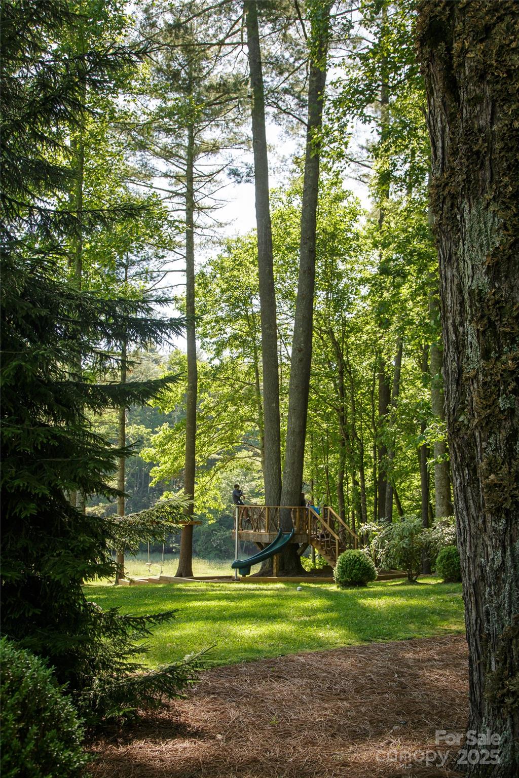 135 Lonesome Valley Road Sapphire, NC 28774 - Photo 43 of 46 a backyard of a house with a yard and large trees